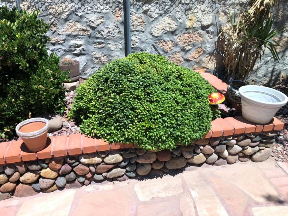 2000 Glemmway Charlotte’s Estate Sales & Appraisals El Paso